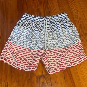 Fish Swim Trunks